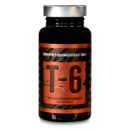 Zion Labs – T6 Fatburner