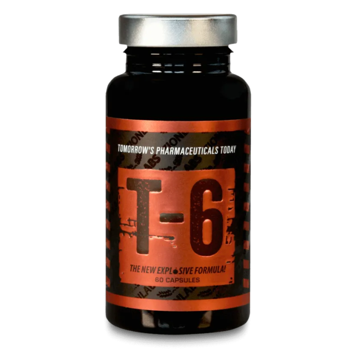 Zion Labs – T6 Fatburner