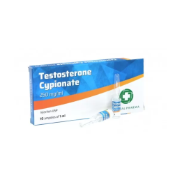 Global Pharma Testosterone Cypionat 250 mg 10 x 1ml